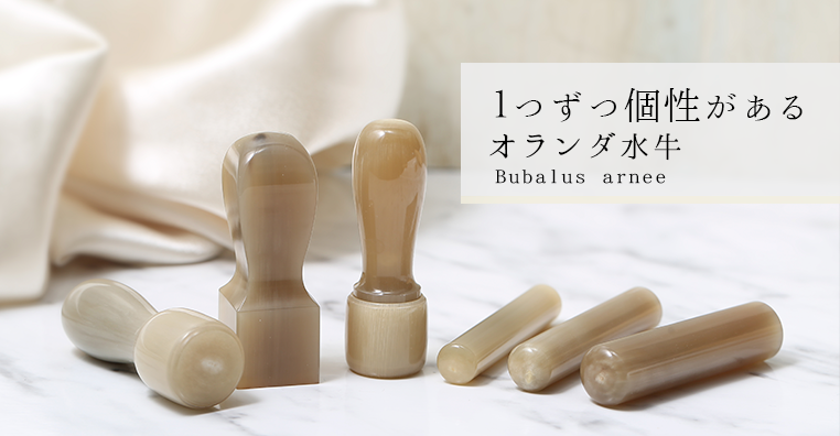 オランダ水牛バナー